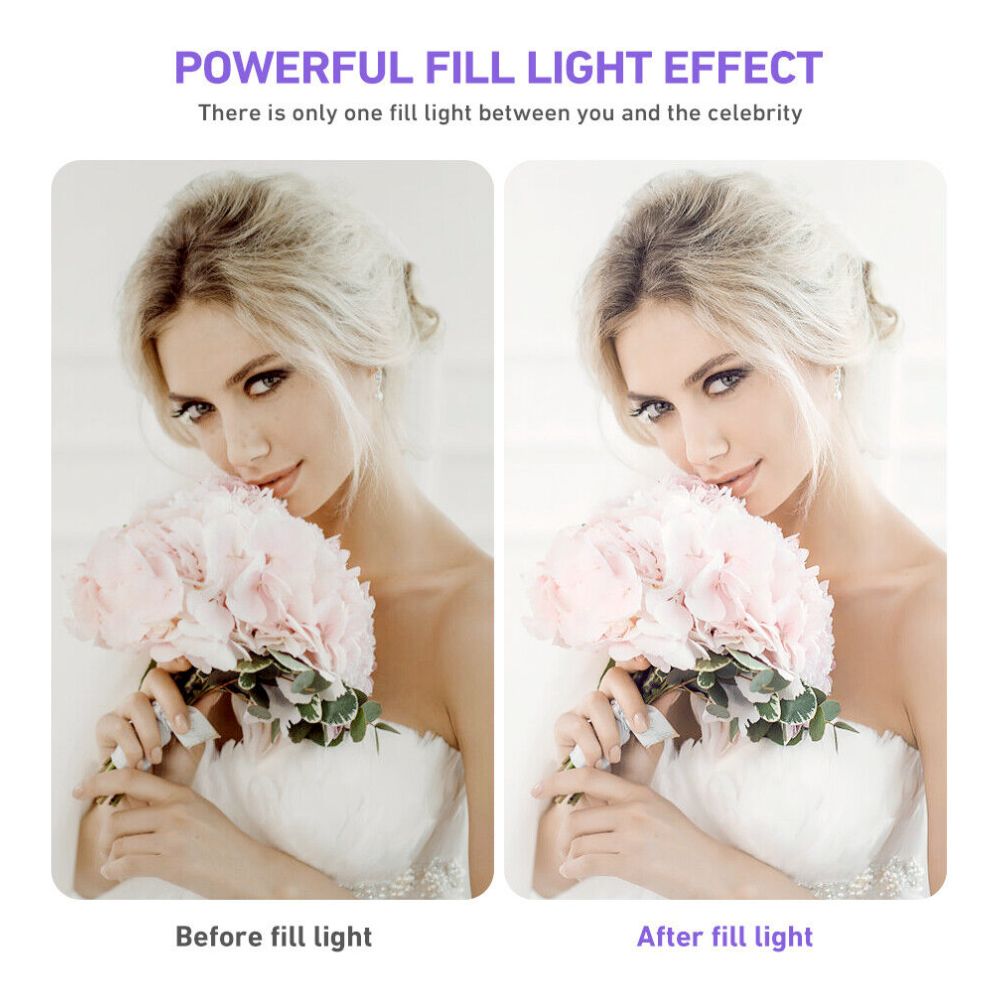 Ring Light Tripod Kit, 10 Inch LED Selfie Light for TikTok YouTube