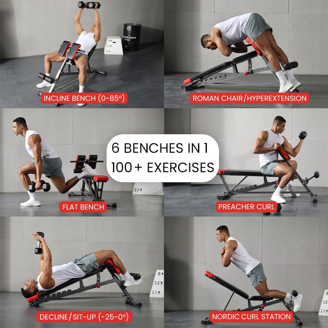Multi Functional FID Weight Bench, 