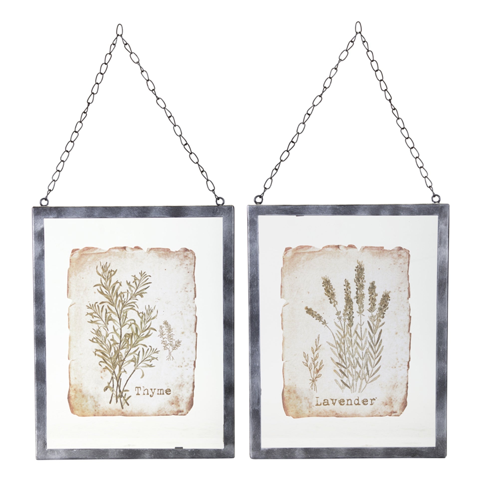 Vintage Lavender & Thyme Botanical Wall Art Set of 2