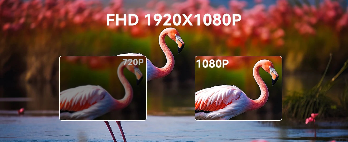 23.8 Inch 120Hz Large Portable Touchscreen Monitor