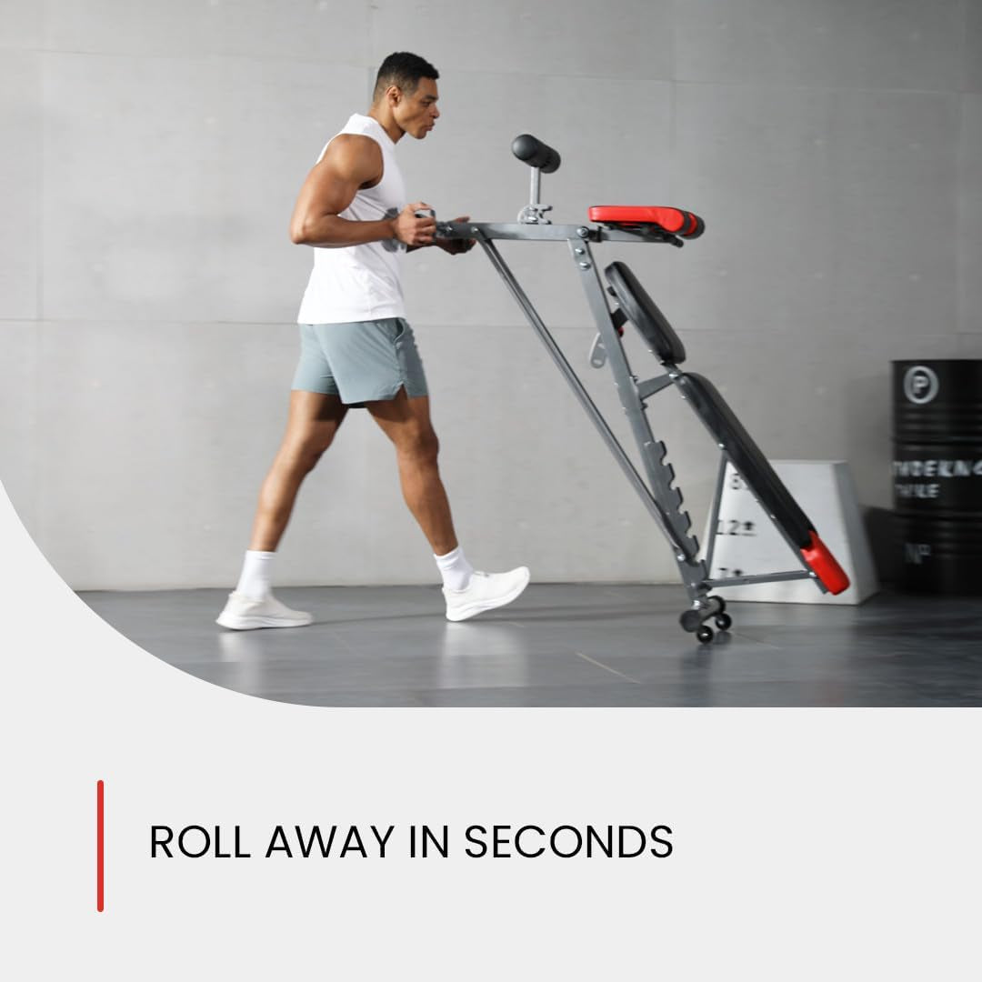 Multi Functional FID Weight Bench, 
