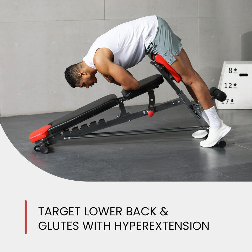 Multi Functional FID Weight Bench, 