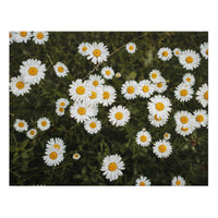 'Wild Bloom' Valley Park Collection 252/500 Piece Puzzle